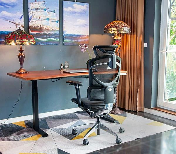 Một góc nhìn khác của ghế công thái học Hồ Chí Minh ISEE-X