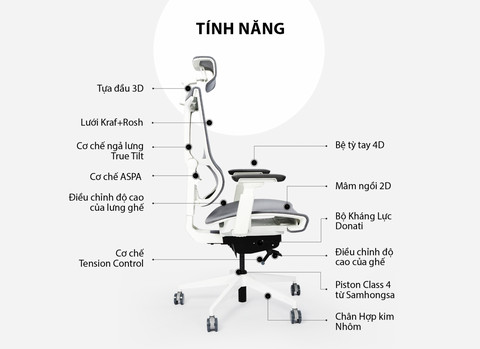 Người ngồi trên ghế công thái học với tư thế chuẩn, bảo vệ sức khỏe cột sống và thắt lưng