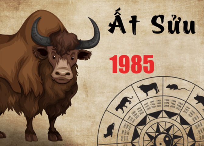Người tuổi Ất Sửu 1985 tìm hiểu về phong thủy để cải thiện vận khí