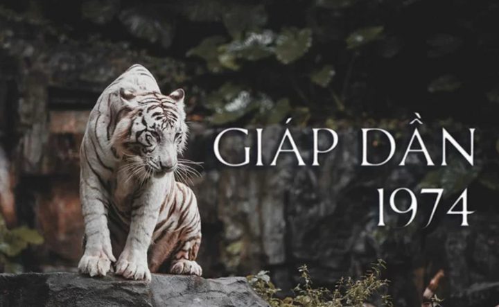 Người tuổi Giáp Dần 1974 tìm hướng bàn làm việc phù hợp
