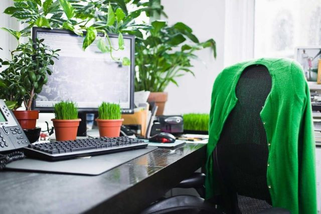 Thêm cây xanh vào bố trí bàn làm việc để tăng sinh khí