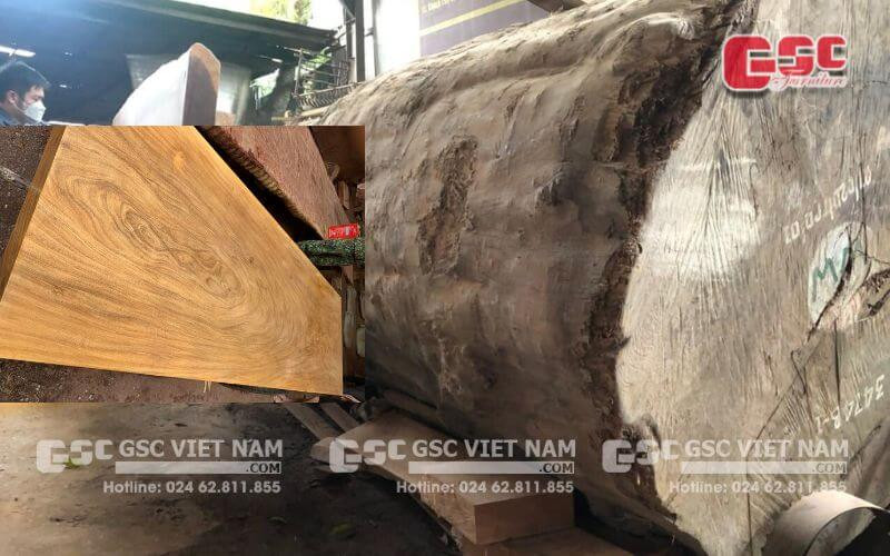 Thị trường gỗ cẩm vàng: Giá bán gỗ nguyên khối và giá trị thành phẩm