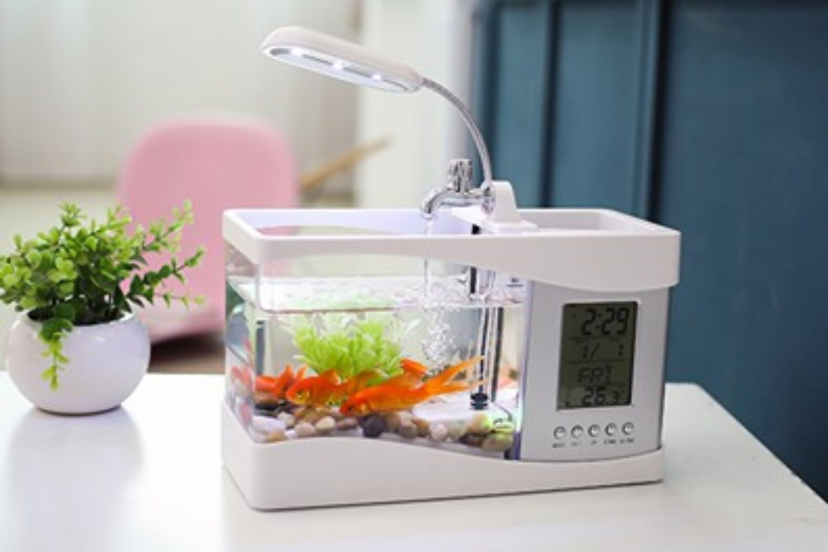 Thiết kế bể cá mini 3 trong 1 gọn gàng, phù hợp không gian văn phòng