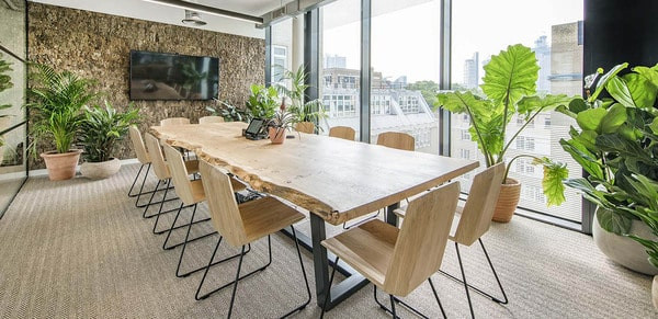Tránh chọn chậu cây leo khi trang trí bàn làm việc