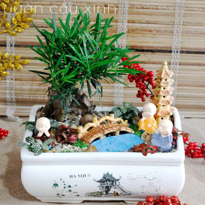 Tùng La Hán tiểu cảnh