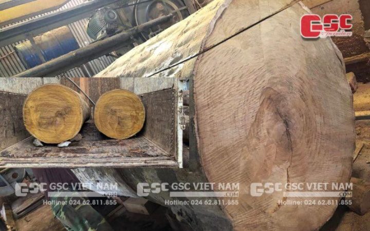 Vân gỗ cẩm vàng tự nhiên với màu sắc vàng sáng đặc trưng