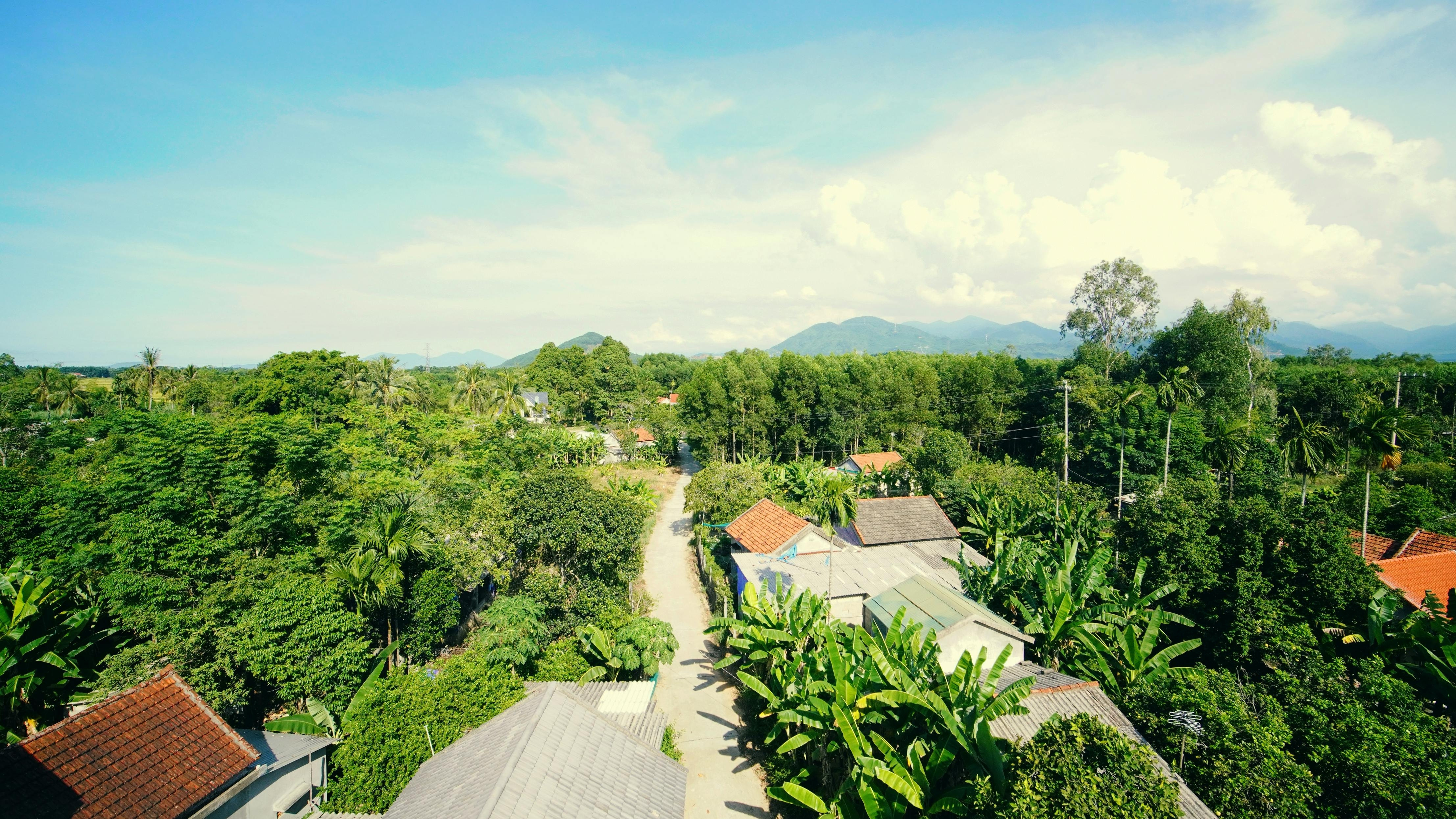 Vùng quê yên bình làm desktop background hình nền bàn làm việc