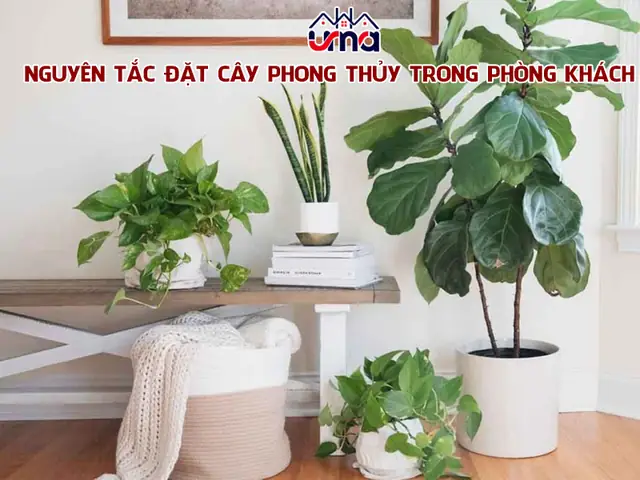 Tìm Hiểu Nguyên Tắc Đặt Cây Phong Thủy Trong Phòng Khách