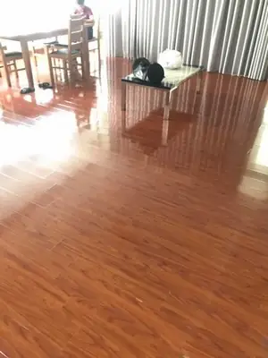 Báo Giá Sàn Công Nghiệp Viêt Nam, Malaysia
