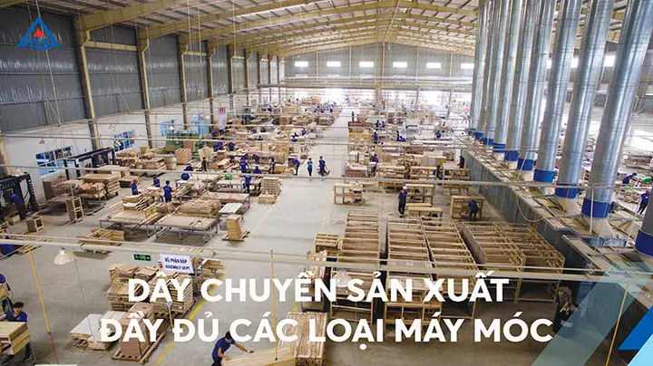 Tập Đoàn Thang Máy Thiết Bị Thăng Long Đẩy Mạnh Phát Triển Lĩnh Vực Đồ Gỗ Nội Thất