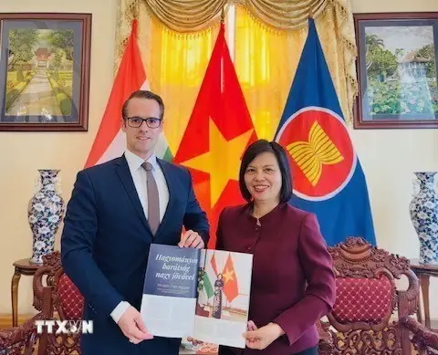 Danh Sách Các Web Đăng Tin Nội Thất Uy Tín & Hiệu Quả