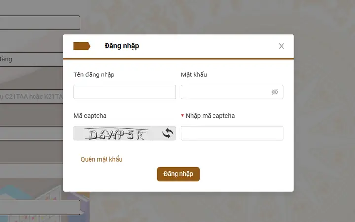 Tra Cứu Trên Trang Hệ Thống Hóa Đơn Điện Tử