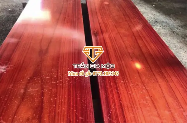 Cách Phân Biệt 11 Loại Gỗ Quý Trong Tự Nhiên Từ Kinh Nghiệm Thực Tế Cách Phân Biệt 11 Loại Gỗ Quý Trong Tự Nhiên Từ Kinh Nghiệm Thực Tế