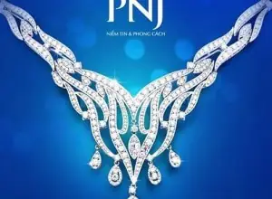 Cần Thuê Nhà Làm Showroom Vàng Bạc Đá Quý Pnj