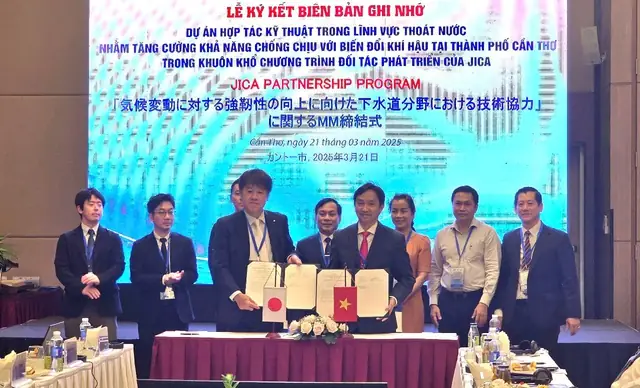 Cần Tuyển Quản Lý Dự Án Nội Thất: Tiêu Chí Và Lộ Trình Tuyển Dụng Hiệu Quả Cần Tuyển Quản Lý Dự Án Nội Thất: Tiêu Chí Và Lộ Trình Tuyển Dụng Hiệu Quả