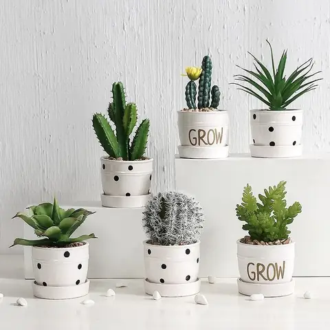 Cây Phong Thủy Trong Nhà Mang Lại Tài Lộc, May Mắn, Sức Khỏe Cây Phong Thủy Trong Nhà Mang Lại Tài Lộc, May Mắn, Sức Khỏe