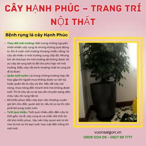 Bệnh Rụng Lá
