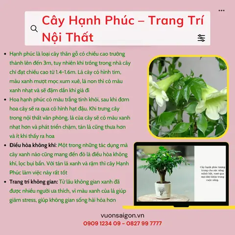 Tác Dụng