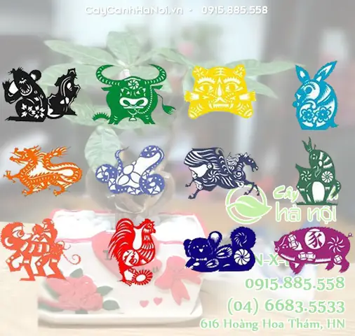 Tính Cách Người Tuổi Tuất Và Cây Cảnh Hợp Tuổi Tuất Tính Cách Người Tuổi Tuất Và Cây Cảnh Hợp Tuổi Tuất