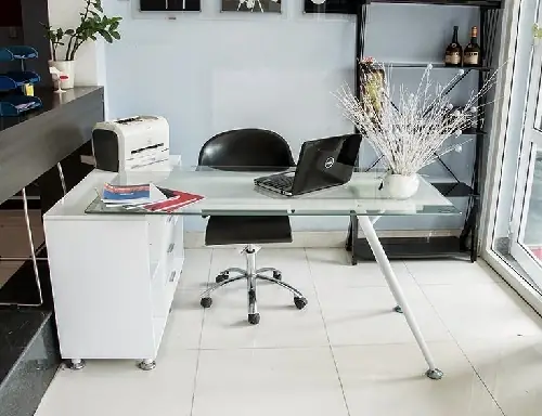 Cây Nội Thất Tiếng Anh Là Gì