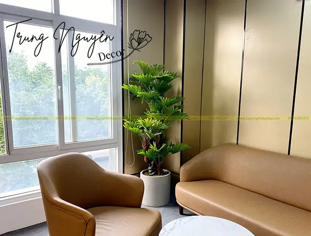 Đặt Cây Cọ Giả Ở Đâu?