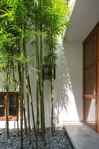 Nét Yên Bình Trong Không Gian Ngoại Thất Với Tre, Trúc Nét Yên Bình Trong Không Gian Ngoại Thất Với Tre, Trúc
