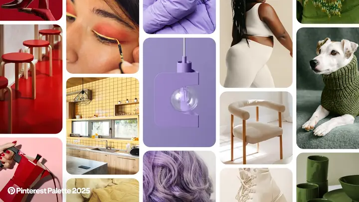 Cây Trong Nội Thất Pinterest Cây Trong Nội Thất Pinterest
