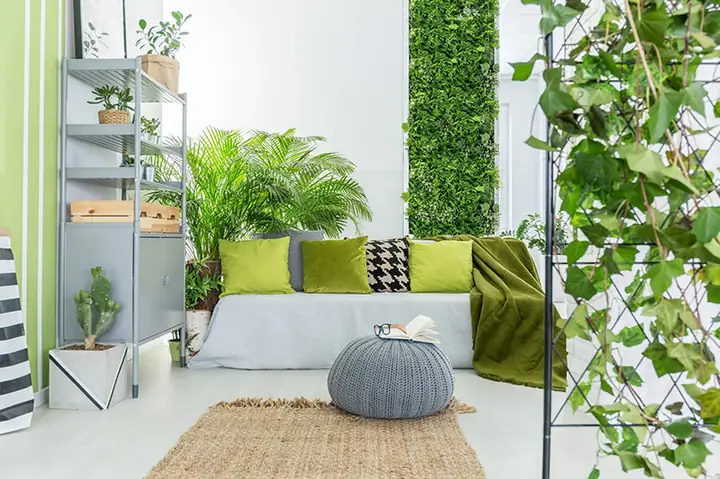 Tuyển Tập Ý Tưởng Cây Trong Nội Thất Pinterest Đẹp Nhất