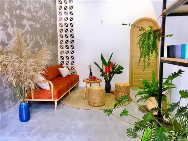 Cây Xanh Trong Trang Trí Nội Thất Cây Xanh Trong Trang Trí Nội Thất