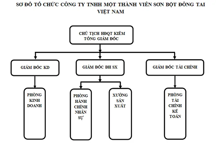 Cơ Cấu Tổ Chức Công Ty Nội Thất: Khám Phá Mô Hình Hiệu Quả