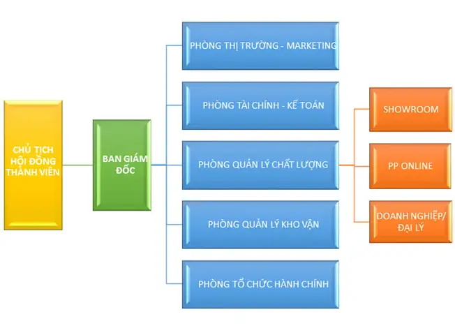 Cơ Cấu Tổ Chức Của Doanh Nghiệp Nội Thất: Vai Trò Và Chức Năng