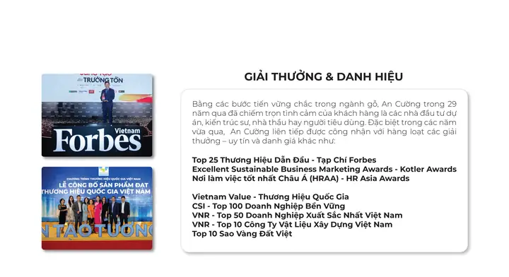 Cổ Đông Công Ty Các Giải Pháp Nội Thất