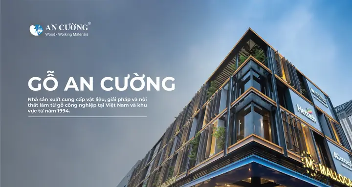 Cổ Đông Công Ty Các Giải Pháp Nội Thất
