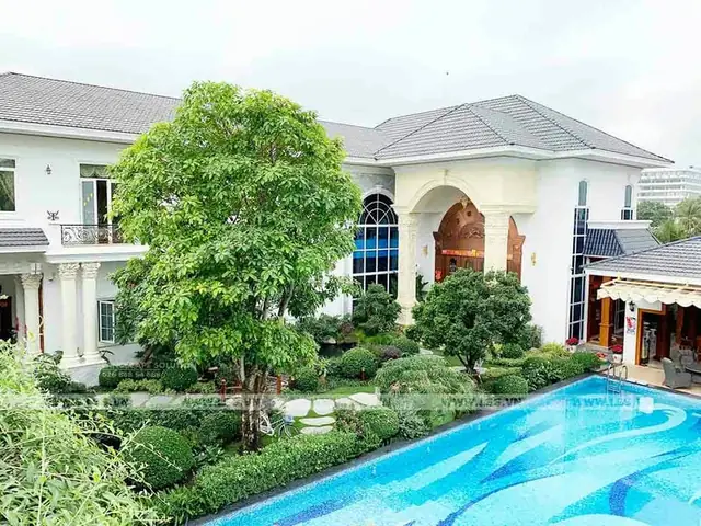 Công Ty Cây Cảnh Nội Thất Công Ty Cây Cảnh Nội Thất