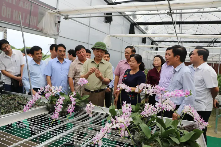 Công Ty Cổ Phần Nội Thất Ánh Tân Cương Công Ty Cổ Phần Nội Thất Ánh Tân Cương