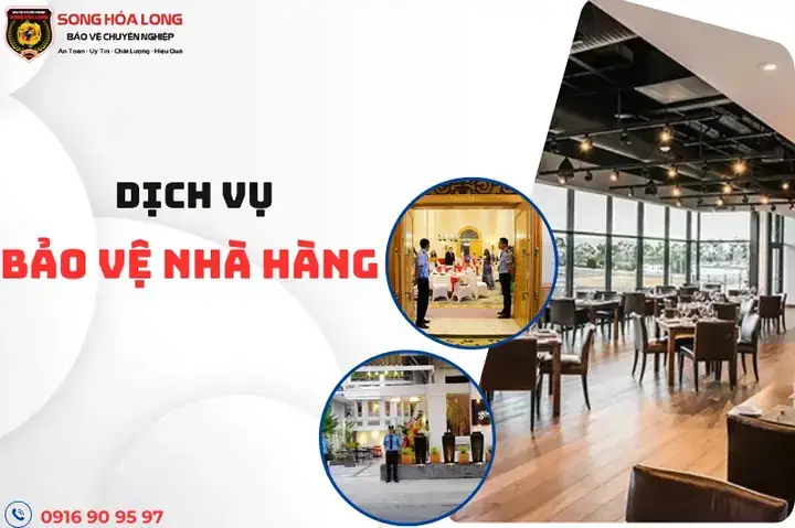 Công Ty Cổ Phần Nội Thất Benvila Trần Phú: Đánh Giá Chi Tiết Từ A-z
