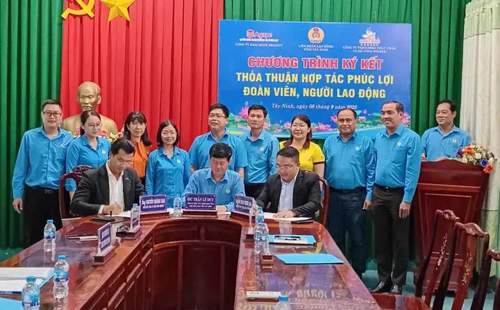 Khám Phá Công Ty Cổ Phần Nội Thất Homely: Từ Dịch Vụ Đến Uy Tín Khám Phá Công Ty Cổ Phần Nội Thất Homely: Từ Dịch Vụ Đến Uy Tín