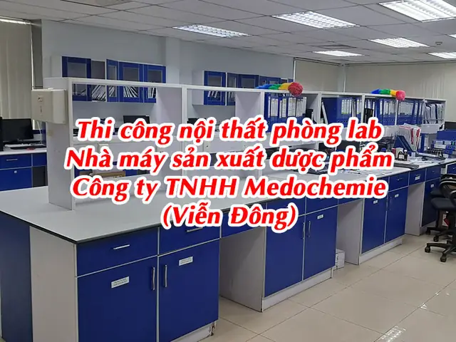 Công Ty Cổ Phần Nội Thất Sài Gòn Viễn Đông: Đánh Giá Từ A-z Công Ty Cổ Phần Nội Thất Sài Gòn Viễn Đông: Đánh Giá Từ A-z