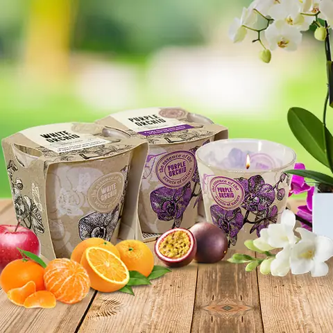 Công Ty Cổ Phần Trang Trí Nội Thất Orchid