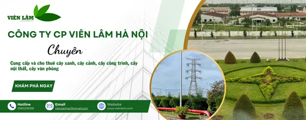 Công Ty Cp Nội Thất Hà Lâm: Đánh Giá Chi Tiết Từ A Đến Z