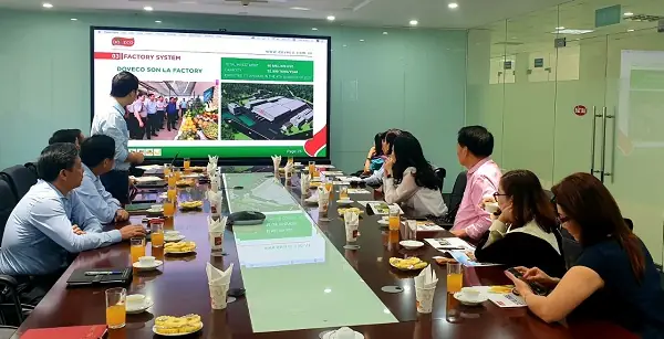 Chọn Công Ty Nội Thất Bắc Âu: Hướng Dẫn Toàn Diện
