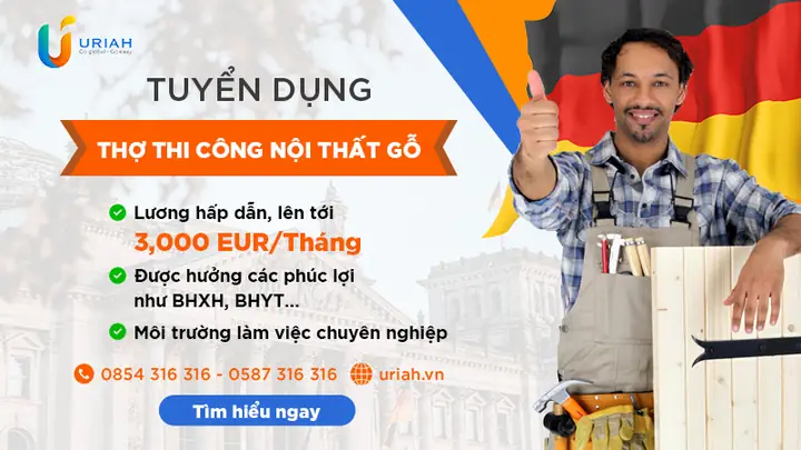 Công Ty Nội Thất Bền Vững Tuyển Dụng: Lựa Chọn Nào Phù Hợp Cho Bạn?