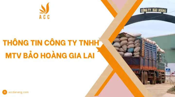 Top Công Ty Nội Thất Đà Nẵng: Thông Tin Đáng Tin Cậy Cho Bạn