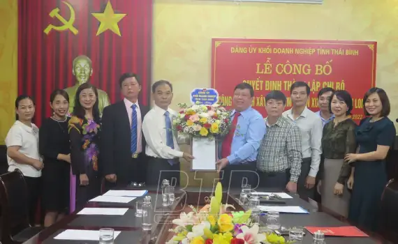 Công Ty Nội Thất Đại Thành: Đánh Giá Toàn Diện Chất Lượng & Dịch Vụ