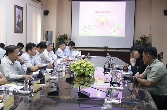 Công Ty Nội Thất D&a Có Đáng Tin Cậy? Đánh Giá Từ Chuyên Gia