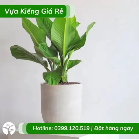 Công Ty Nội Thất Lộc Phú