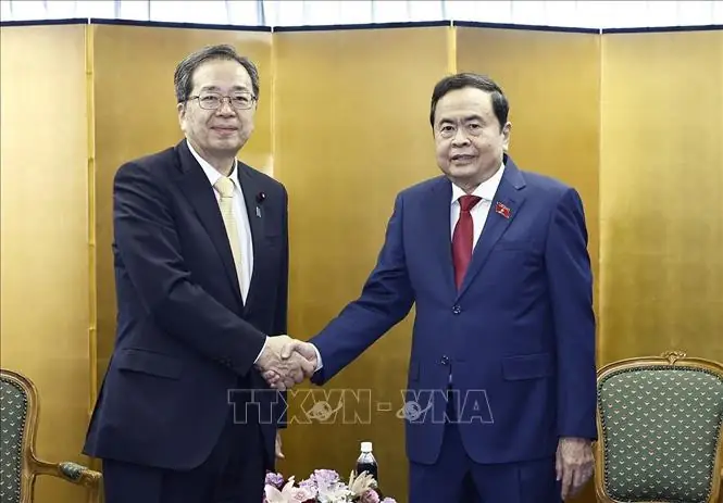 Công Ty Nội Thất Saito: Đánh Giá Chi Tiết Từ A Đến Z Công Ty Nội Thất Saito: Đánh Giá Chi Tiết Từ A Đến Z