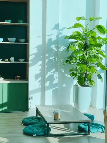 Tầng 2: Khu Vực Trưng Bày Và Chế Biến, Khu Vực Ăn Uống Tầng 2: Khu Vực Trưng Bày Và Chế Biến, Khu Vực Ăn Uống