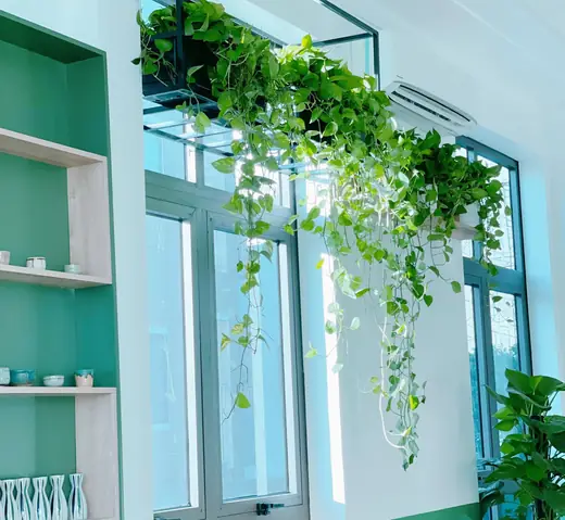 Tầng 2: Khu Vực Trưng Bày Và Chế Biến, Khu Vực Ăn Uống Tầng 2: Khu Vực Trưng Bày Và Chế Biến, Khu Vực Ăn Uống