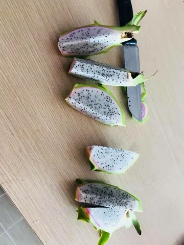 Công Ty Nội Thất Thanh Long Trúc